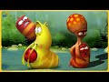 Larva Tuba | ẤU TRÙNG TINH NGHỊCH TẬP 55 PHẦN 1 - NHỮNG CHÚ SÂU VUI NHỘN - PHIM HOẠT HÌNH HÀN QUỐC