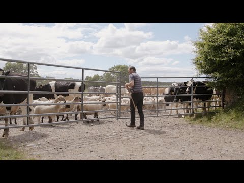 US870 - Agricultural Science and Sustainability [Thurles] - TUS Midlands (formerly AIT)