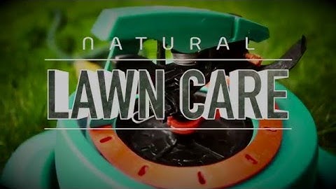 Natural Lawn Care: Applying Lime