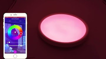 Smart WIFI LED Round Ceiling Light RGBCW Dimmable TUYA APP Compatible with Alexa Google Home Bedroom