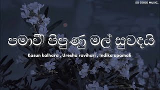 Video-Miniaturansicht von „Pamawee pipunu mal suwadai (පමාවී පිපුණු මල් සුවඳයි) | Lyrics | Kasun k. , Uresha r. , Indika u.“