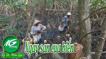 Ký ức miền quê l Ngày săn cua biển l THKG