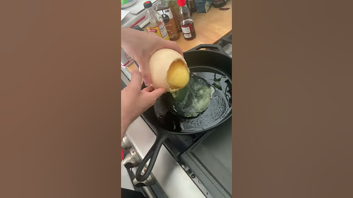 Ostrich Egg in A Pan || ViralHog