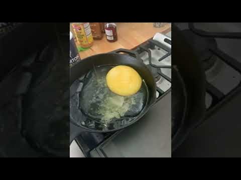 Ostrich Egg in