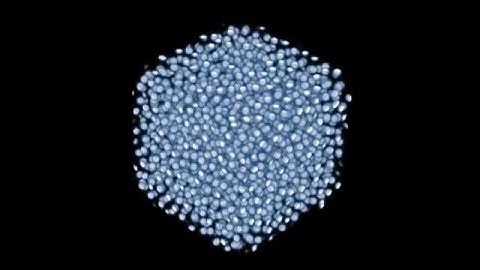 3D Reaction Diffusion equations