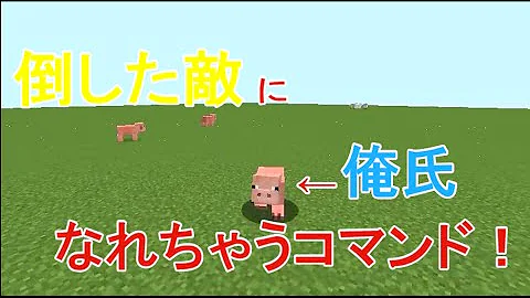 تحميل マイクラ 小さくなるコマンド Mp4 Mp3