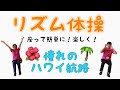 リズム体操 4 憧れのハワイ航路 リズム体操 4 憧れのハワイ航路