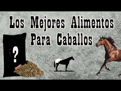 Video: ¿Comerán los caballos ensilaje?