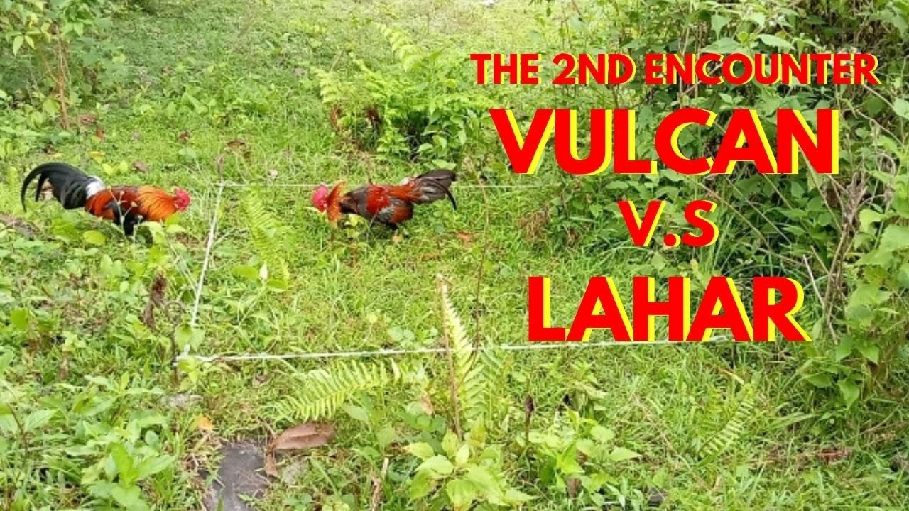 A thrilling hour-long showdown between VULCAN  and LAHAR captured on video || FULL EPISODE