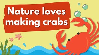 Why So Many Animals Evolve Into Crabs