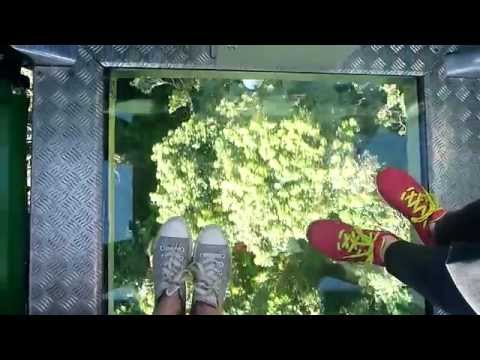 glass bottom Skyrail gondola