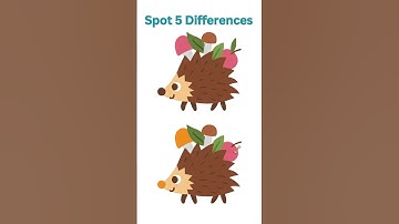 Spot 5 Differences #122 #findadifference #jogodadiferença #findondedifference #логическиеиг