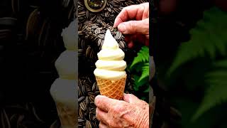 Ice cream ASMR video #asmr #fruit #fruit #oddlysatisfying #relax #satisfyingvideo #relaxtime