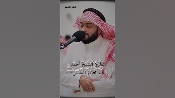 ما تيسر من سورة فاطر|القارئ الشيخ أحمد عبدالعزيز النفيس #القرآن_الكريم #احمد_النفيس #سورة_فاطر #حفص