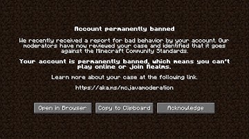 Top 10 Minecraft Chat Reporting Supporters