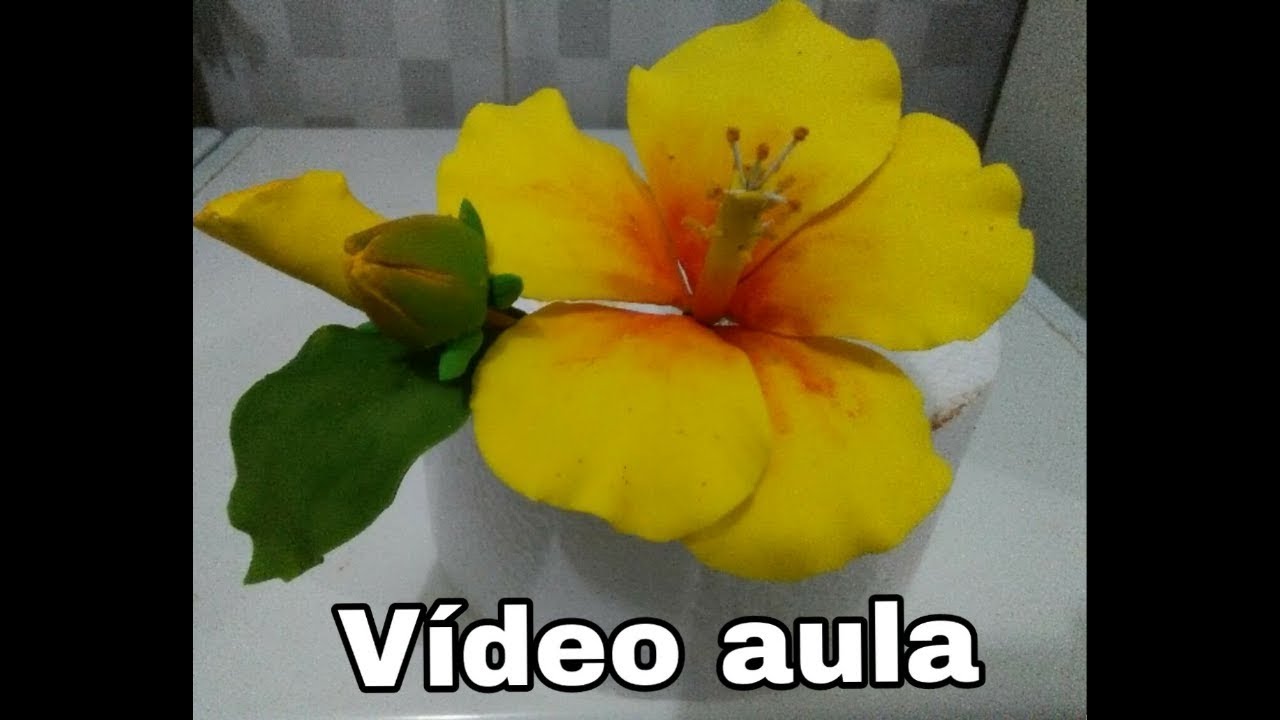 Hibisco, botões e folhagem - Vídeo aula completa!
