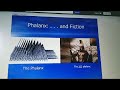 history of paulice