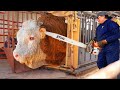 Revolutionary Cow Farming Automated Hay Feeding &amp; Intelligent Cowshed