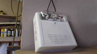 Wheelock AS Horn/Strobe Test