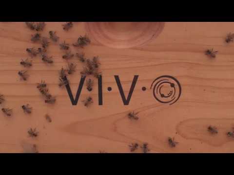 BEE-HV02 Complete Beekeeping 10 Frame Add-on Shallow Super Beehive Box