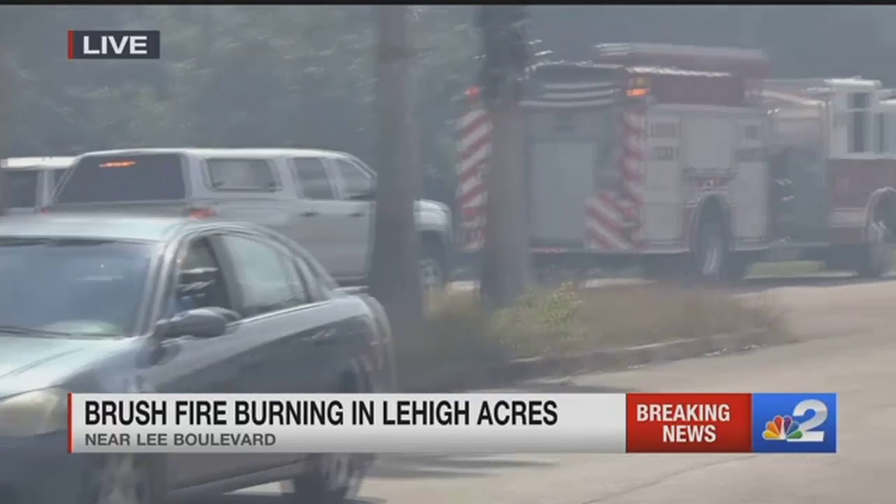southwest florida eagle cam Brush fire burning in Lehigh Acres