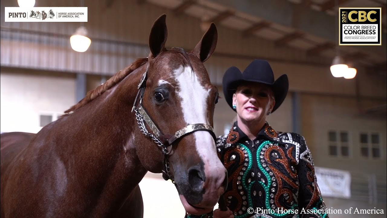 Color Breed Congress Day 4! YouTube