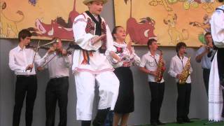 Cornel Borza-Ardeleana din Tulca