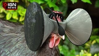 Man Wants Oculus Rift For Chickens - Ign News