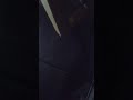 مع السمسميه وتوراث البدوي