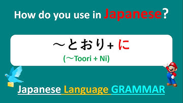 TOORINI - JLPT N3 N4 N5 (GRAMMAR) | " In the same way as, In the way " IN Japanese language