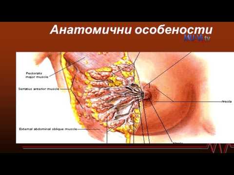 Лекция на проф. д-р Радослав Радев