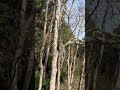 Wooden Sanctuary #woods #woodworking #nature #healing #sky #beautiful