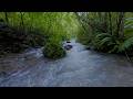 River Sounds for Sleeping | 12 Hours Flowing Water to Stay Asleep Longer [No Talking]