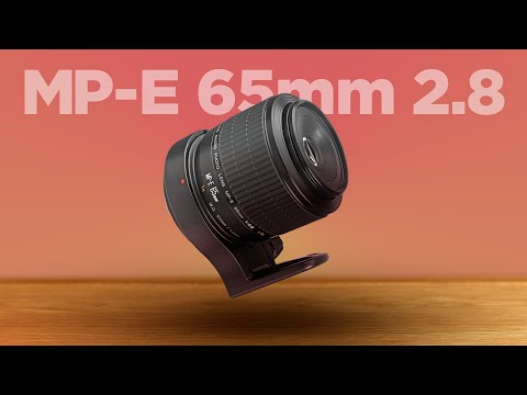 The Canon MP-E 65mm F/2.8 1-5x Macro Unique Lens Review