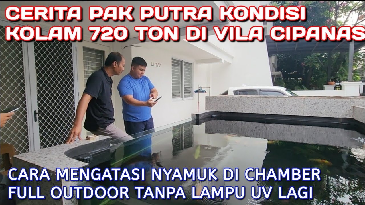 KOLAM IKAN KOI FULL OUTDOOR TANPA LAMPU UV | PAK PUTRA KELAPA GADING JAKARTA