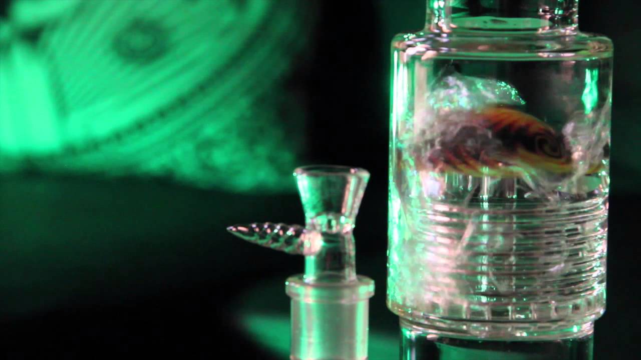 Pulse Glass BOSS JIM