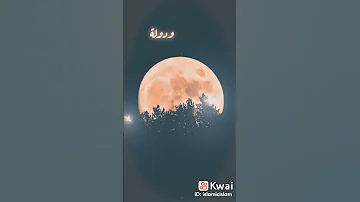 تأملت والدنيا بها العجب والعجب 