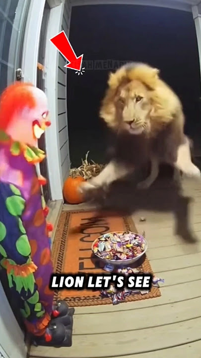 Don't let this happen to you when Halloween comes around 😱 #halloween