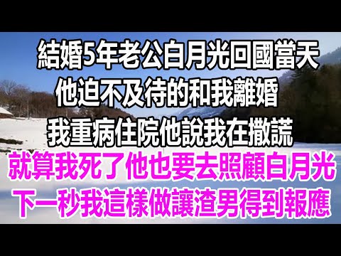 結婚5年老公白月光回國當天，他迫不及待的和我離婚，我重病住院他說我在撒謊，還說就算我死了他也要去照顧白月光，下一秒我這樣做讓渣男得到報應 #深夜讀書#爽文#幸福人生#婚姻#為人處世#溫情人生#情感故事