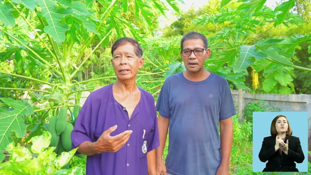 คลังปัญญาผู้สูงอายุ 