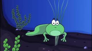 Tadpole Blues