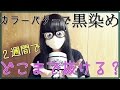 カラーバターで黒染め２週間でどこまで抜けるか検証[０はじ]