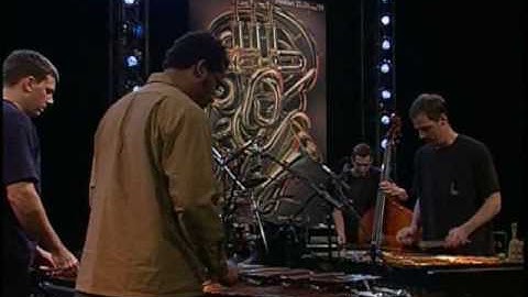 Tortoise  Ten Day Interval