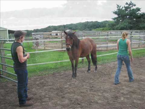 Cowboy Lady - Jason Aldean