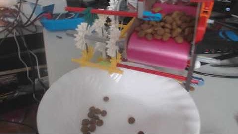 Automatic cat feeder