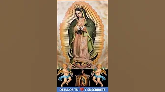❤️🙏 Canto Católico: Quiero Caminar contigo Maria...❤️‍
