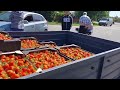 Ціна на Полуницю 🍓 Херсонщина. Приймаємо ОПТ