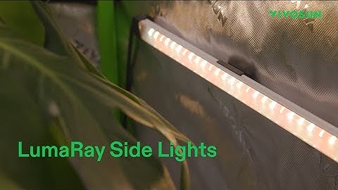 LumaRay Side Lights | More Light, More Growth