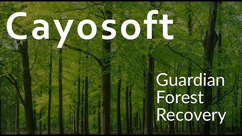 Revolutionizing Active Directory Forest Recovery: The Cayosoft Advantage