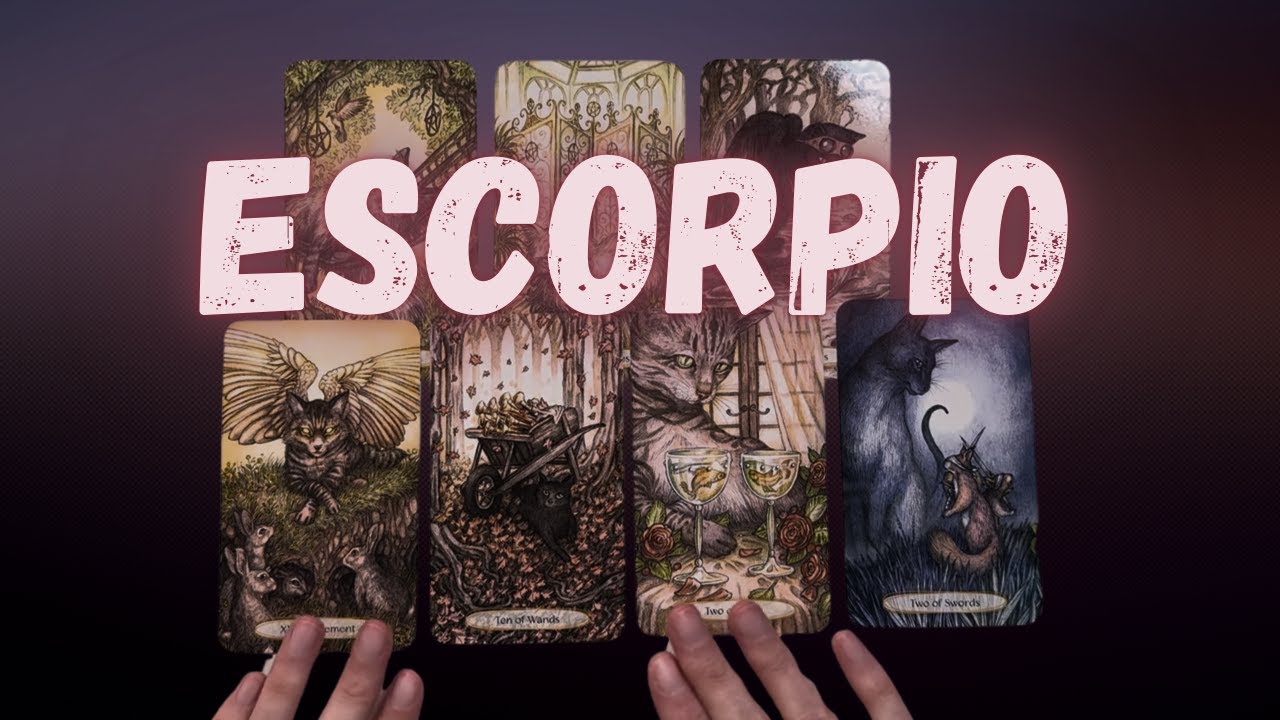 ESCORPIO TE QUIERE MÁS DE LO QUE IMAGINAS, PERO SE EQUIVOCÓ ️ HOROSCOPO ...